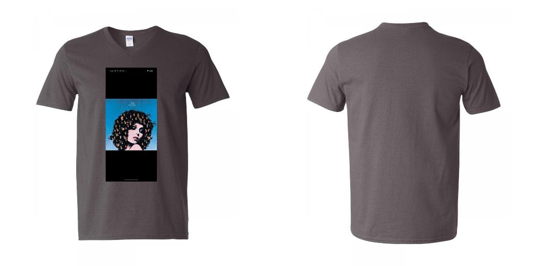 Gildan 64V00 - Softstyle V-Neck T-Shirt